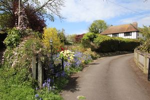 Driveway- click for photo gallery